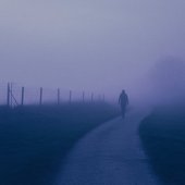 muted whispers