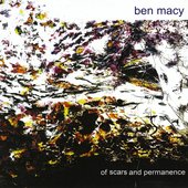 Of Scars and Permanence