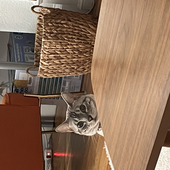 stever_beaver 的头像