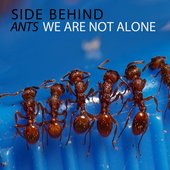 Ants / We Are Not Alone