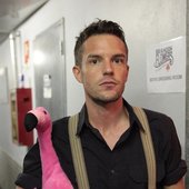 FLAMINGO BRANDON