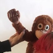 goa monito