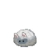 Avatar for spring_rouge