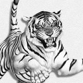 Avatar for chmds