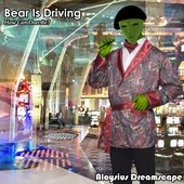 Bear Is Driving