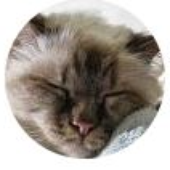 Avatar for mitchferber