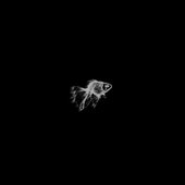 Purgatori - Single