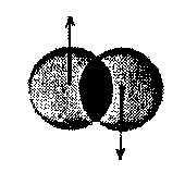 n0nlocal さんのアバター