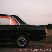 Passenger Princess (Remix) - Single