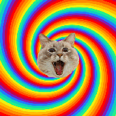 ModestMinion için avatar
