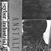 Anstalt \"Cyber Industrial Body\" (1994)