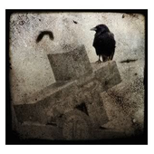 Avatar for Karasu442