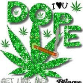 jucelinopito 的头像