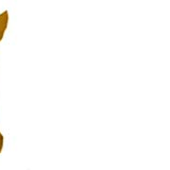 0000619269_100.png