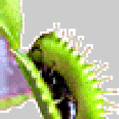 LastFM profile picture for @Coalition