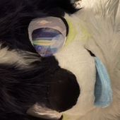 Avatar for sharkdog_