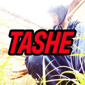 TASHE