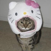 tashaaaa__ 的头像