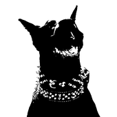 Avatar for nbj10