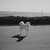 김일두