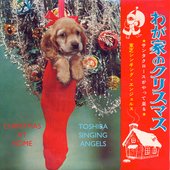 Christmas At Home With the Toshiba Singing Angels (Toshiba Singing Angels)