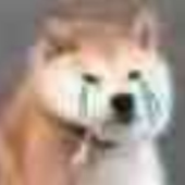 nrofst 的头像