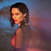 Lovenight cover.png