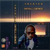 Intelligence