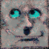 asher_abolafya 的头像