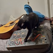 Creature Comforts [Explicit]