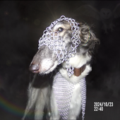 superhans23_ 的头像