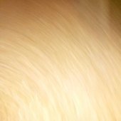 Dreaming of a Better World