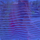 Concentricism