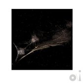 Put the Bucket Down (Bright-Side Mix)