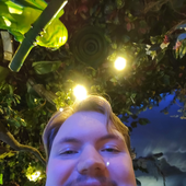 Pro_basil 的头像