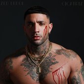 Cicatriz