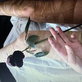 IMG_2054.jpeg