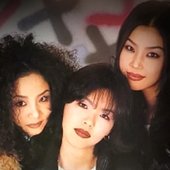 에코