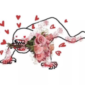 rottenuwu 的头像