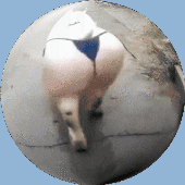 spoiledmilk1669 的头像