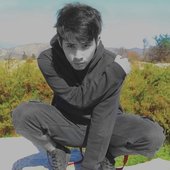 $parkie Music Pop Star