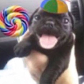 Avatar for hetdil
