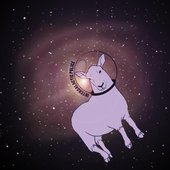 Intergalactic Police