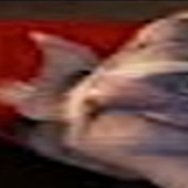 0028861637_100.png