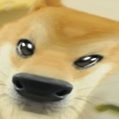 Avatar for shibainuz