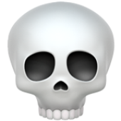 SKULL FR