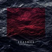 LEASHES logo