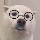 Avatar für dogisgod_