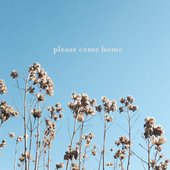 Please Come Home