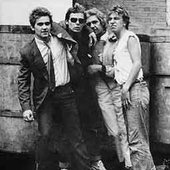 The Crabs (70s British punk band)